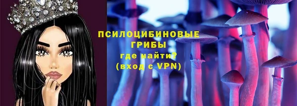 таблы Гусев