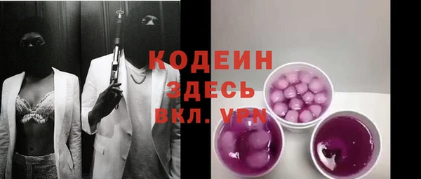 таблы Гусев