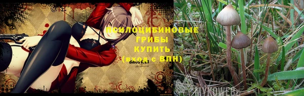 таблы Гусев