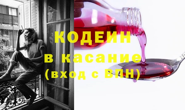 таблы Гусев