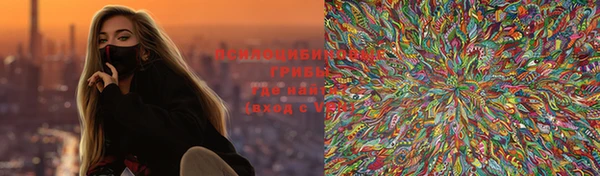 таблы Гусев