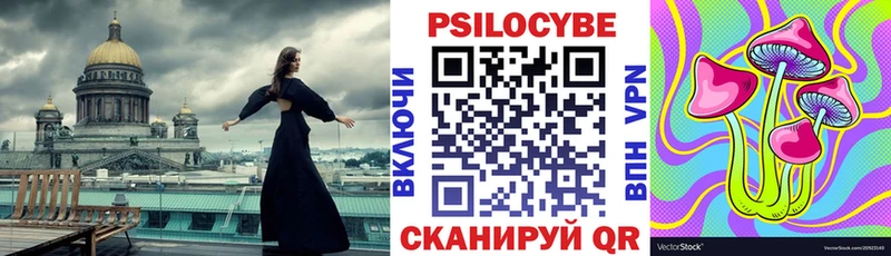 Купить где  Оха  Галлюциногенные грибы Psilocybine cubensis 