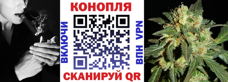 Каннабис план Купить Оха